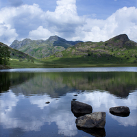 Buy canvas prints of  Blea Tarn Reflections by Catherine Fowler