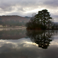 Buy canvas prints of  Rydal Water Reflections by Catherine Fowler