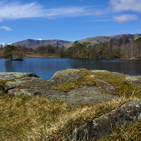 Buy canvas prints of  Tarn Hows by Catherine Fowler