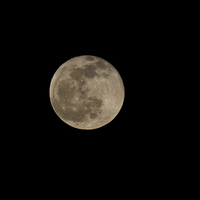 Buy canvas prints of Full Moon by Peter West