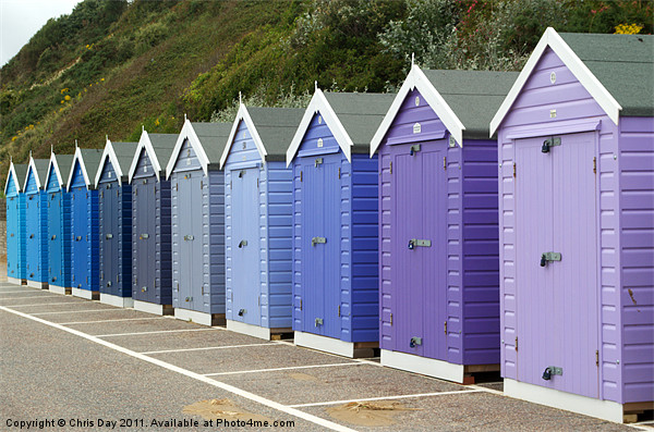 Bournemouth Beach Huts Picture Board by Chris Day