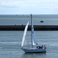 Buy canvas prints of Yacht Enters Cattewater by Chris Day