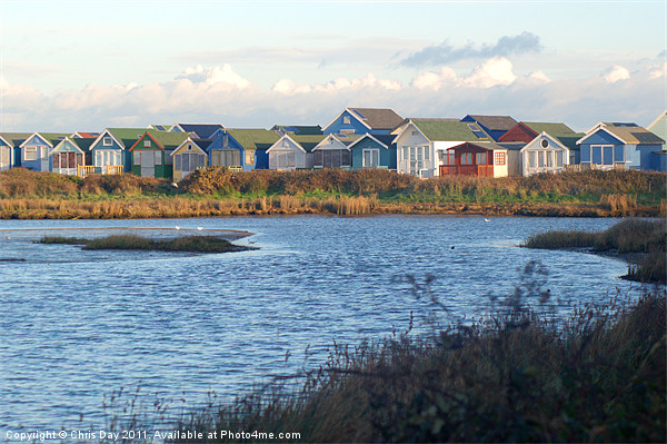 Colourful Beach Huts on the South Coast Picture Board by Chris Day