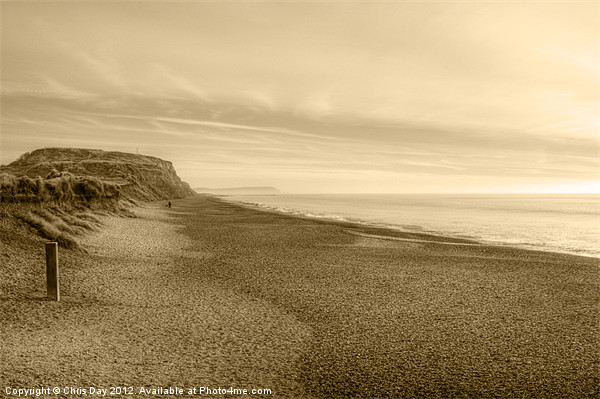 Hengistbury Head and Beach Picture Board by Chris Day