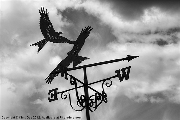 Weather Vane Picture Board by Chris Day