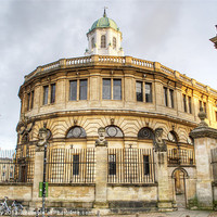 Buy canvas prints of Sheldonian Theatre Oxford by Chris Day