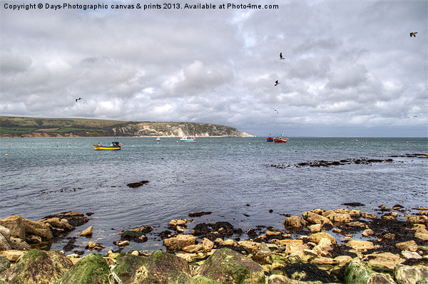Swanage Bay Picture Board by Chris Day
