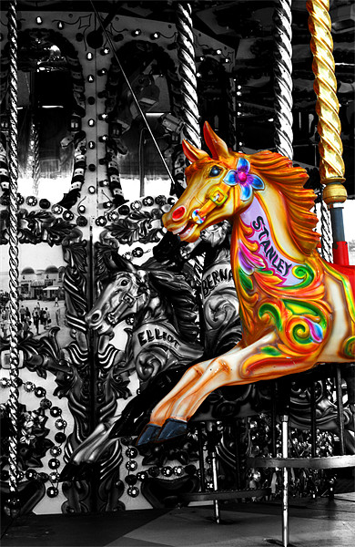 Carousel Horse Picture Board by Chris Day