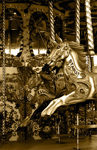 Carousel Horse Picture Board by Chris Day