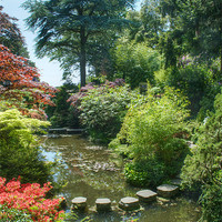 Buy canvas prints of Japanese Garden by Chris Day
