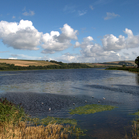 Buy canvas prints of Slapton Ley by Chris Day