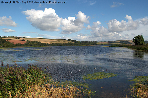 Slapton Ley Picture Board by Chris Day
