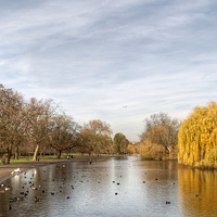 Buy canvas prints of Regents Park in London by Chris Day