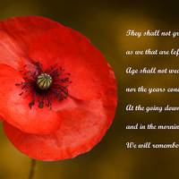 Buy canvas prints of Remembrance by Chris Day
