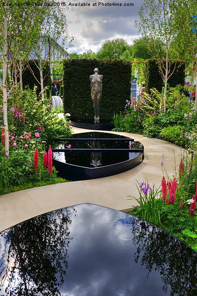 RHS Chelsea Breakthrough Breast Cancer Garden Picture Board by Chris Day