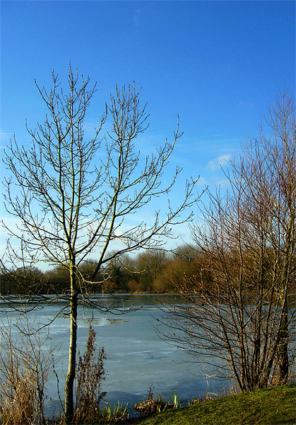 Frozen Lake Picture Board by Chris Day