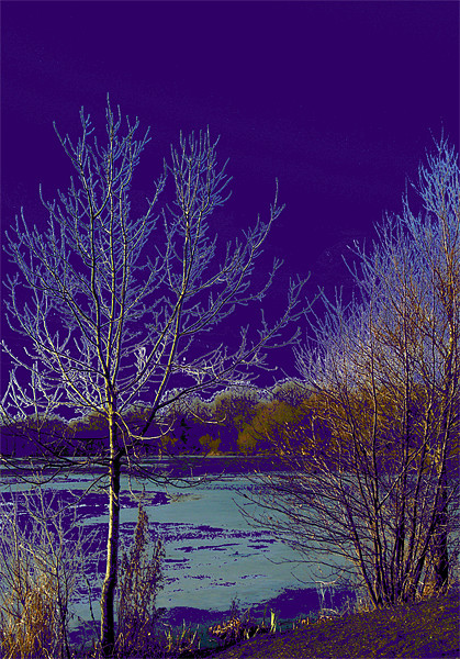 Surreal Icy lake in Purple Picture Board by Chris Day