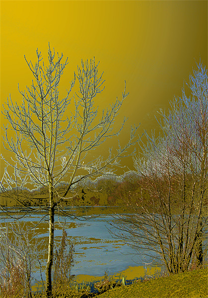 Icy lake under a golden sky Picture Board by Chris Day