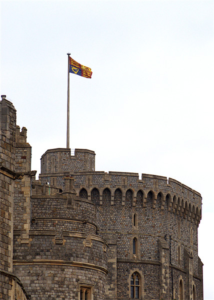 Royal Standard flies above Windsor Castle Picture Board by Chris Day