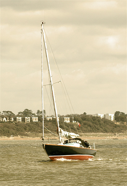 Yacht entering Christchurch harbour Picture Board by Chris Day