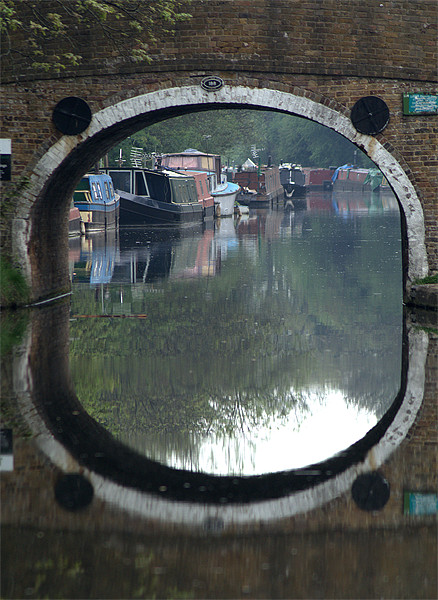 Houseboats in Cowley Picture Board by Chris Day