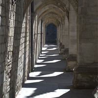 Buy canvas prints of Winchester Cathedral Cloisters of the Inner close by Chris Day