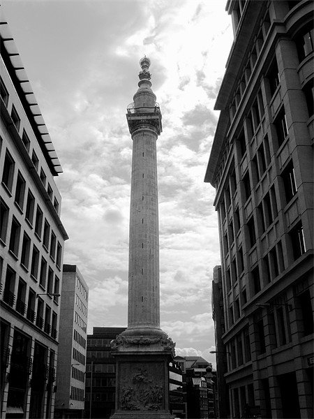 The Monument in London in Black and White Picture Board by Chris Day
