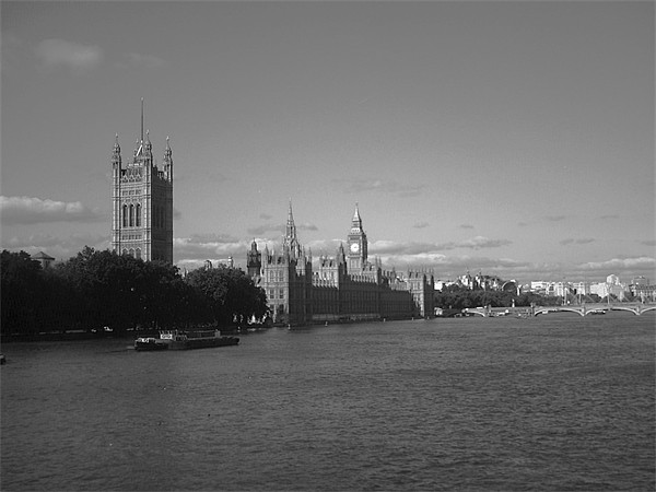 Palace of Westminster in Black and White Picture Board by Chris Day