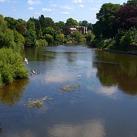 Buy canvas prints of River Wye From the old bridge Hereford by Chris Day