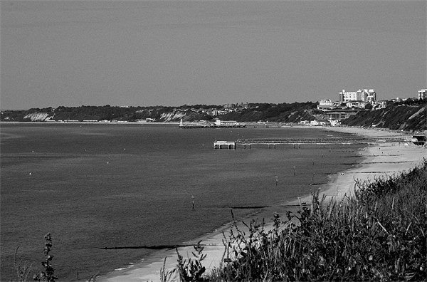Poole Bay and beaches in black and white Picture Board by Chris Day