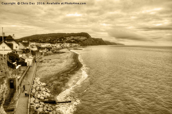 Sidmouth Picture Board by Chris Day