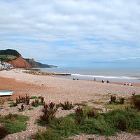 Buy canvas prints of Sidmouth  by Chris Day