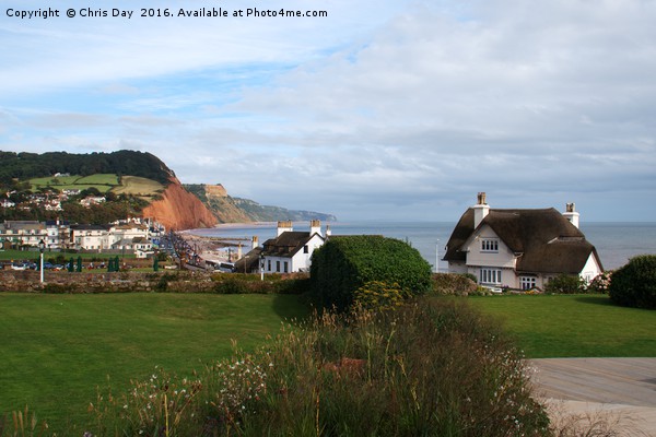 Sidmouth Picture Board by Chris Day