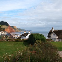Buy canvas prints of Sidmouth by Chris Day