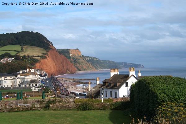 Sidmouth  Picture Board by Chris Day