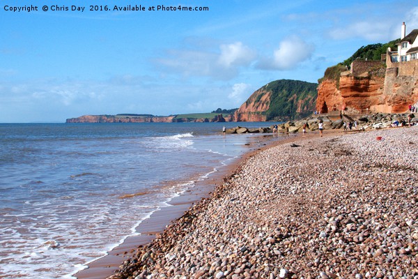 Sidmouth Beach Picture Board by Chris Day