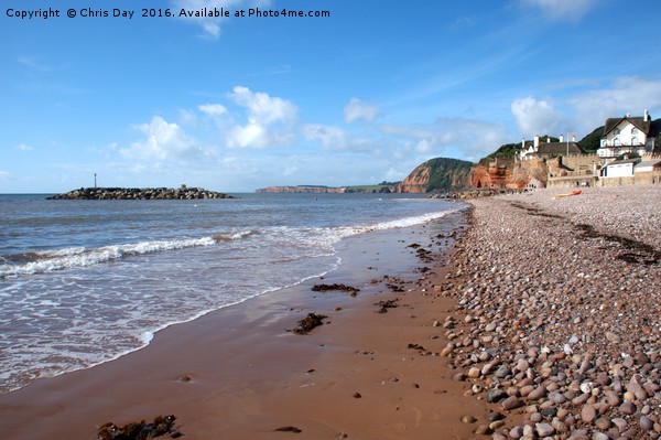 Sidmouth Beach Picture Board by Chris Day
