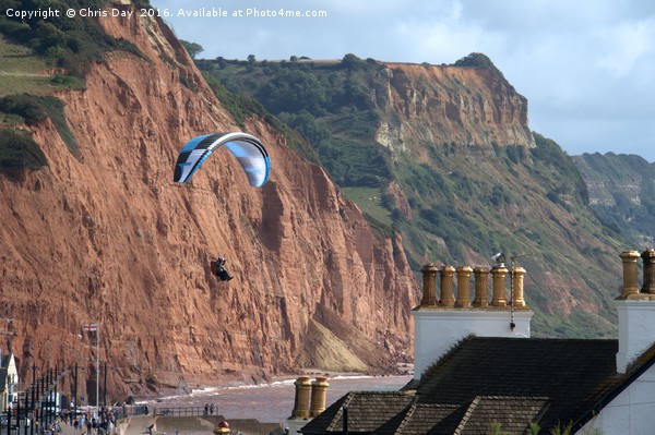 Paraglider over Sidmouth  Picture Board by Chris Day