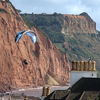 Buy canvas prints of Paraglider over Sidmouth  by Chris Day