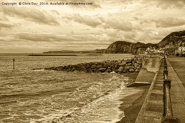 Sidmouth Beach Picture Board by Chris Day