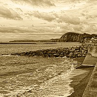 Buy canvas prints of Sidmouth Beach by Chris Day