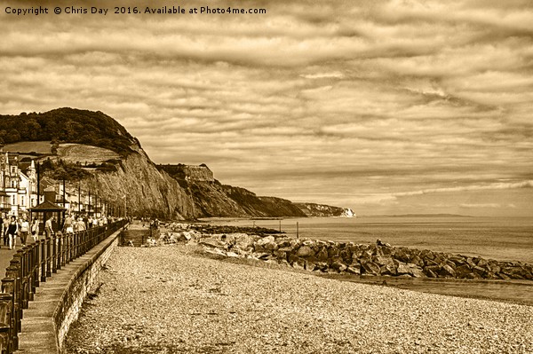 Sidmouth Beach  Picture Board by Chris Day