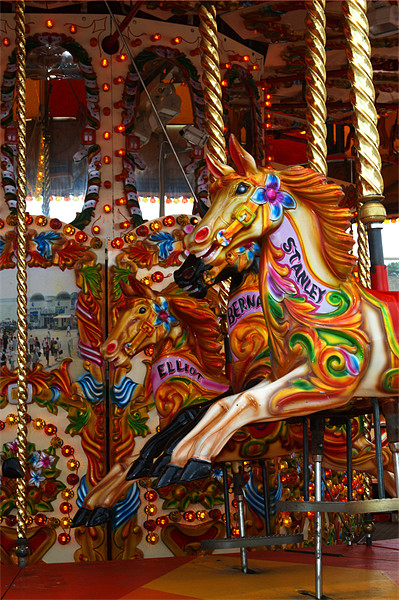 Carousel Picture Board by Chris Day