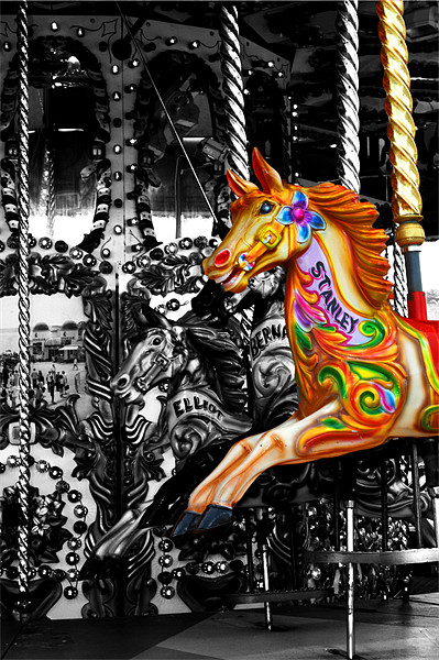 Carousel in isolation Picture Board by Chris Day