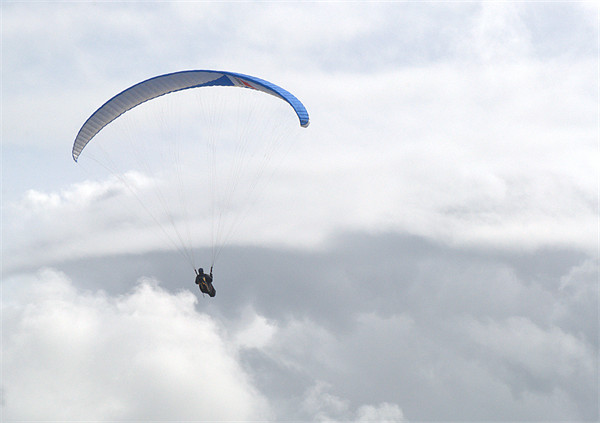 Paraglider at Southbourne Picture Board by Chris Day