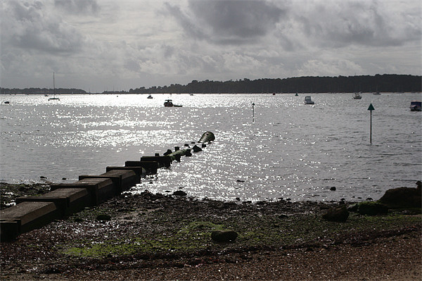 Poole Harbour Picture Board by Chris Day