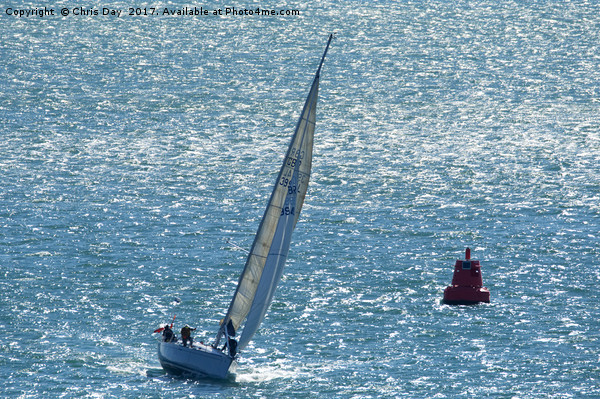 Yacht on Plymouth Sound Picture Board by Chris Day