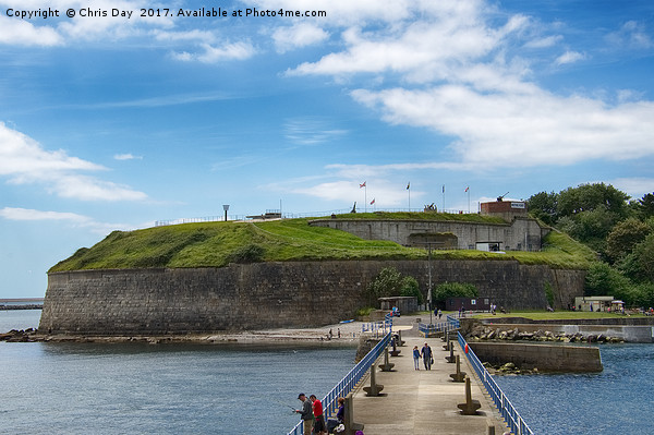 The Nothe Fort  Picture Board by Chris Day