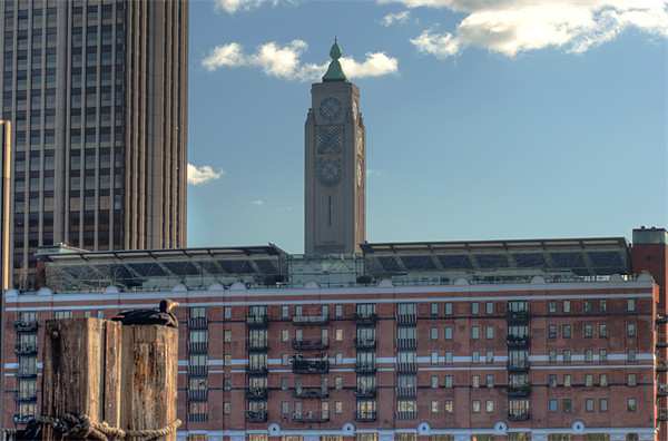 Oxo Tower and admirer Picture Board by Chris Day