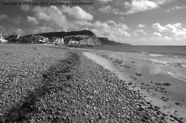 Girl on Sidmouth Beach Picture Board by Chris Day